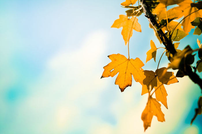 2017年摒弃掉6个坏习惯 让你的摄影更上一层楼